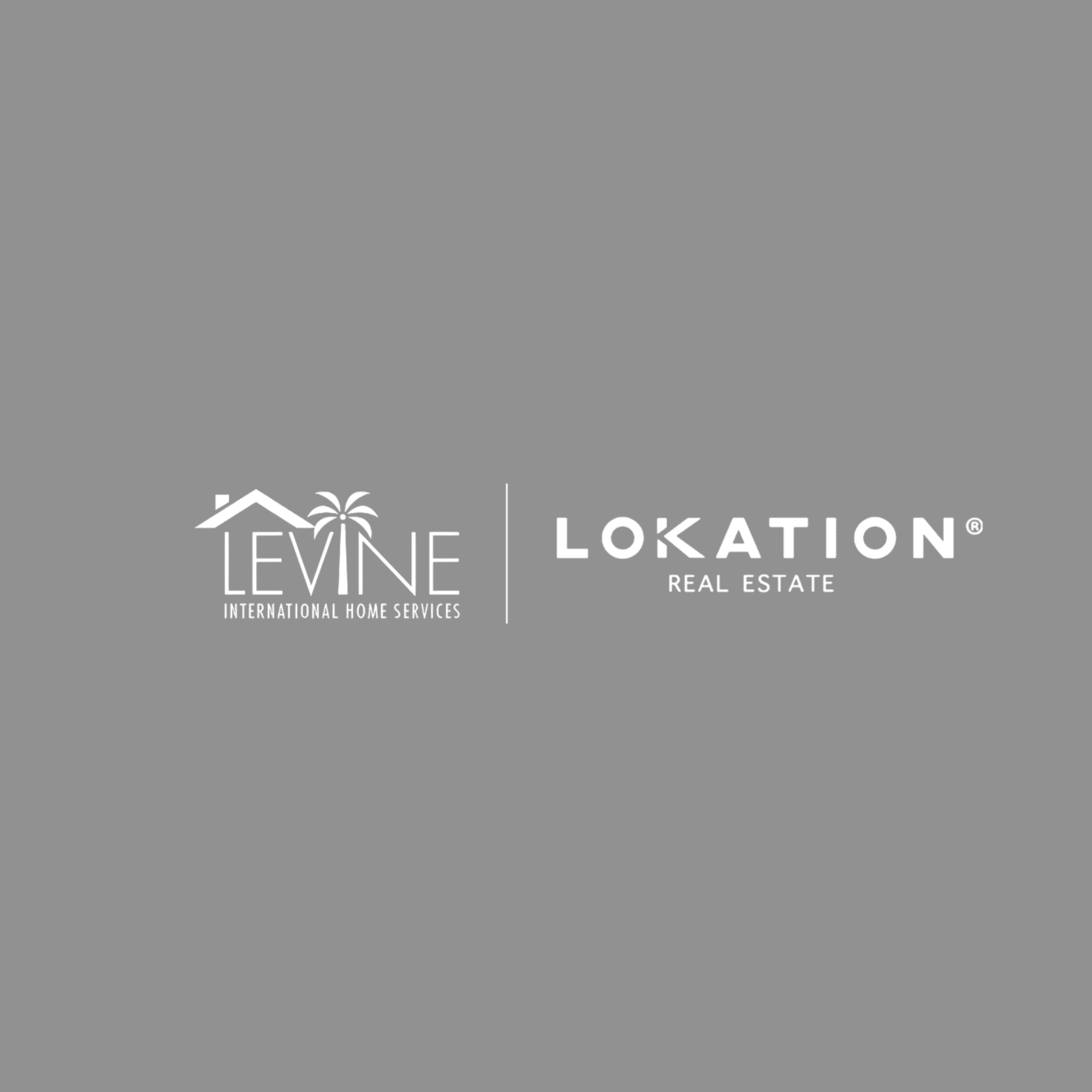 Levine International Home Services